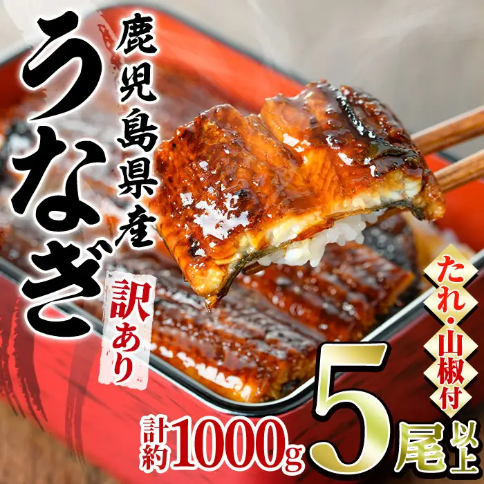 ＜訳あり＞東串良町 うなぎ 蒲焼 (無頭)(5尾以上・計約1kg・タレ、山椒付) 高級 ウナギ 鰻 国産 たれ 鹿児島 ふるさと 人気【アクアおおすみ】【0254362a】