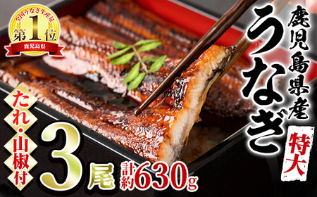 東串良町のうなぎ蒲焼(無頭)(3尾・計約630g・タレ、山椒付)うなぎ 高級 ウナギ 鰻 国産 蒲焼 蒲焼き たれ 鹿児島 ふるさと 人気【アクアおおすみ】【0204356a】