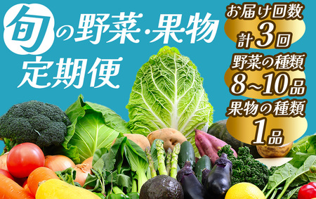 旬の野菜と果物セット 3ヶ月の定期便　　【 野菜 】