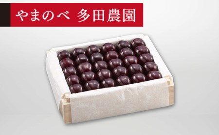 ≪2026年 先行予約≫さくらんぼ 特選サミット 桐箱詰 500g「やまのべ多田農園」 F2Y-1383