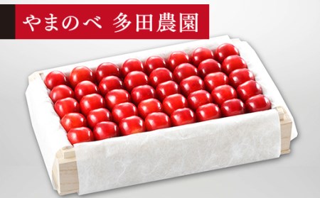 ≪2026年 先行予約≫さくらんぼ 特選紅秀峰 桐箱詰 700g「やまのべ多田農園」 F2Y-1393