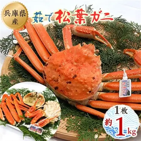 松葉ガニの本場よりプロ茹で松葉ガニ(冷凍)　1枚　約1kg【配送不可地域：離島】【1132204】