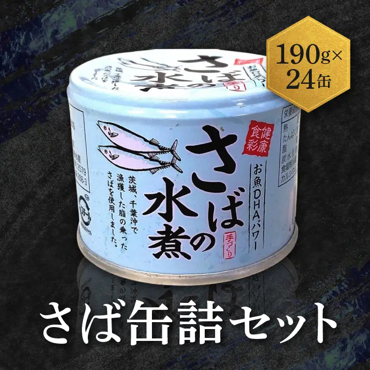 さば 缶詰 水煮 24缶 国産 さば缶 _AL002