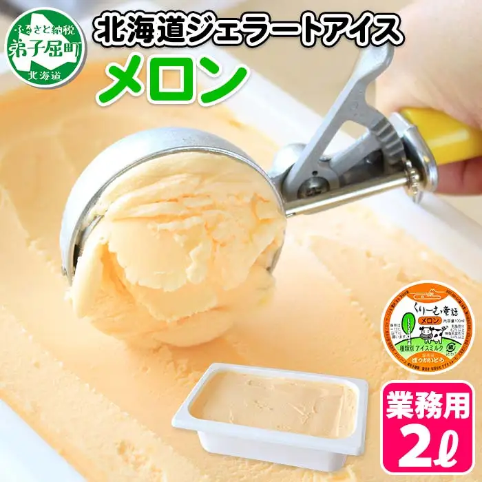 595.アイスクリーム メロン ジェラート 業務用 2リットル 2L アイス 大容量  手作り 北海道 弟子屈町