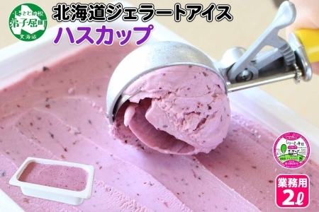 607.アイスクリーム ハスカップ ジェラート 業務用 2リットル 2L アイス 大容量  手作り 北海道 弟子屈町