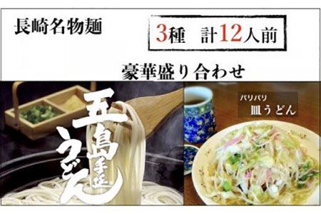【本場長崎を味わえる！】長崎名物麺 皿うどん 五島うどん 計12人前！豪華詰め合わせセット【水谷製麺所】 [IA02] 