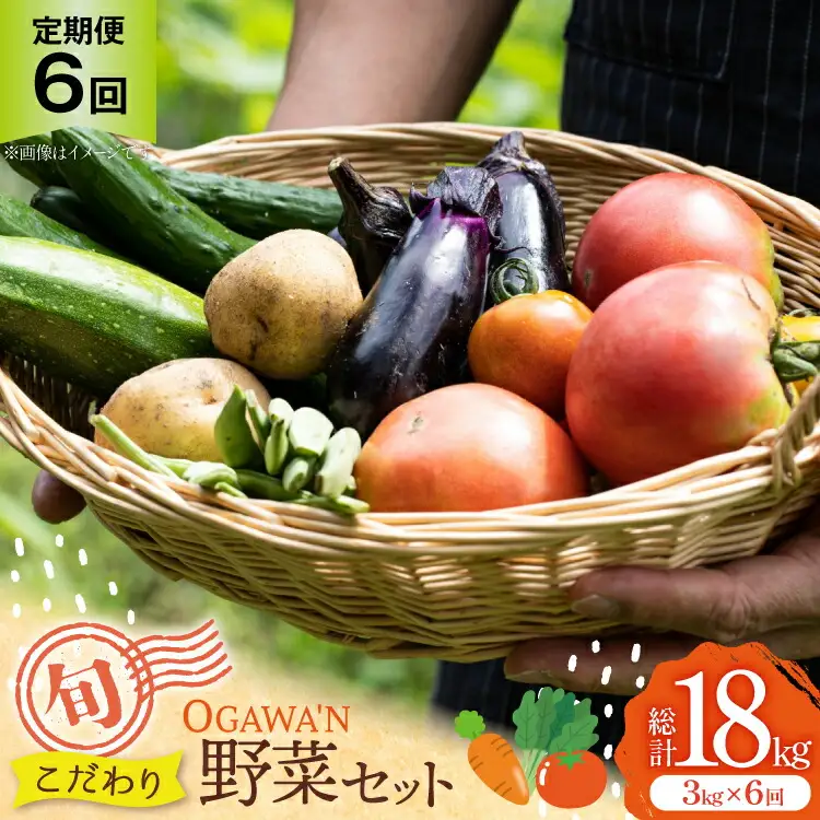 OGAWA'N 野菜 セット 定期便 6回 [JA埼玉中央 埼玉県 小川町 137]