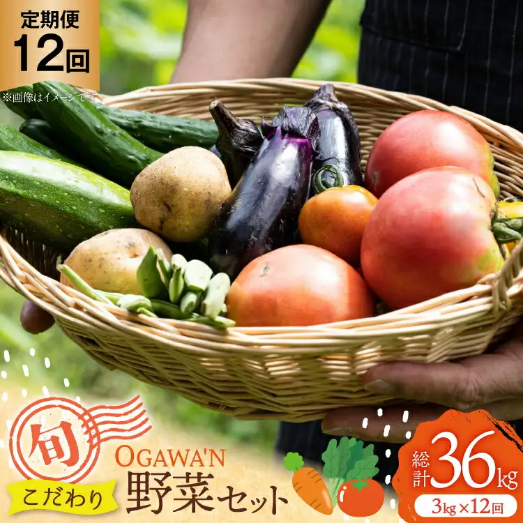 OGAWA'N 野菜 セット 定期便 12回 [JA埼玉中央 埼玉県 小川町 138]