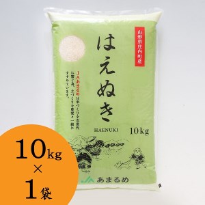 JAあまるめ 山形県庄内町産 はえぬき 10kg×1袋 令和7年産 2025年産 ブランド米 米 国産 単一原料米 コシヒカリの原点、亀の尾発祥の地 庄内