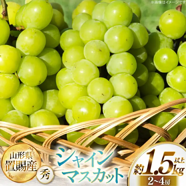【期間限定発送】 シャインマスカット 秀 2～4房 約 1.5kg 以上 [JA山形おきたま 山形県 高畠町 tk06ays870058]