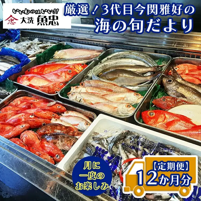 定期便 12ヶ月 鮮魚店「魚忠」 厳選鮮魚セット 大洗 厳選 旬 魚 さかな_AS001