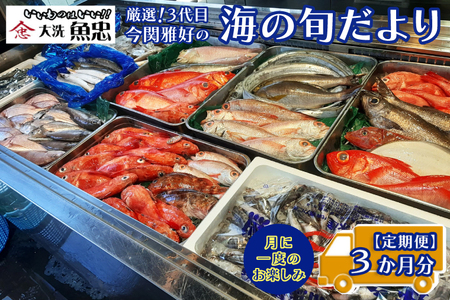 定期便 3ヶ月 鮮魚店「魚忠」 厳選鮮魚セット 大洗 厳選 旬 魚 さかな_AS003