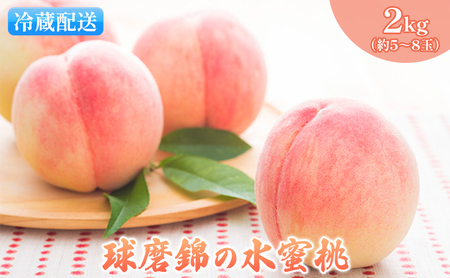 桃 白桃 先行予約 錦の水蜜桃 2kg 約5玉～8玉 もも モモ フルーツ 果物 デザート2026年発送 配送不可:離島 