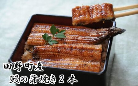 田野町産うなぎの蒲焼き(大）2本 タレ付き 山椒付き