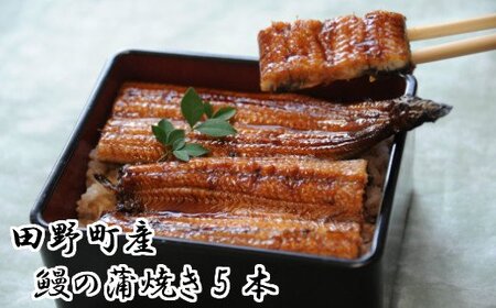 田野町産うなぎの蒲焼き（大）5本　タレ付き 山椒付き