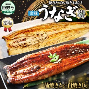 特選うなぎの蒲焼き２尾＋白焼き１尾入り（特製タレ付き） ヤマシン