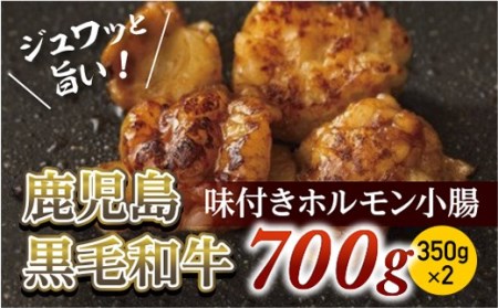 味付きホルモン小腸700g(350g×2)　鹿児島黒毛和牛【尾崎牧場】