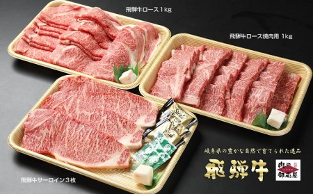 飛騨牛 A5等級【冷蔵配送】【5回定期便】飛騨牛食べ比べセット サーロイン ローススライス ロース焼肉用