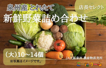 JA大阪泉州 直売所店長セレクト 新鮮野菜セット10～14個