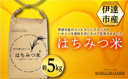伊達市産 はちみつ米 5kg F21C-162