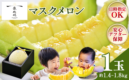 高知県香南市産 マスクメロン 1玉 【メロンメロンメロンメロンメロンメロンメロンメロン】 tn-0010