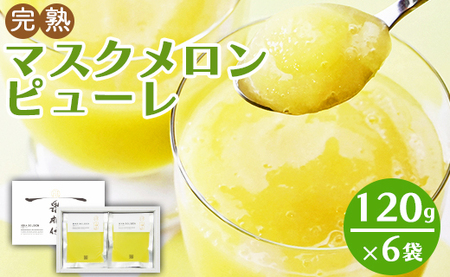 メロンピューレ 120g×6袋 ピューレ tn-0007