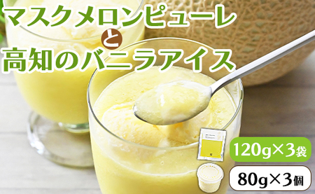 ピューレ メロンピューレ バニラアイスクリーム 3個セット【テレビで紹介 メロン農家が作ったメロンピューレ ピューレ アイスセット 完熟マスクメロン100％】  tn-0028