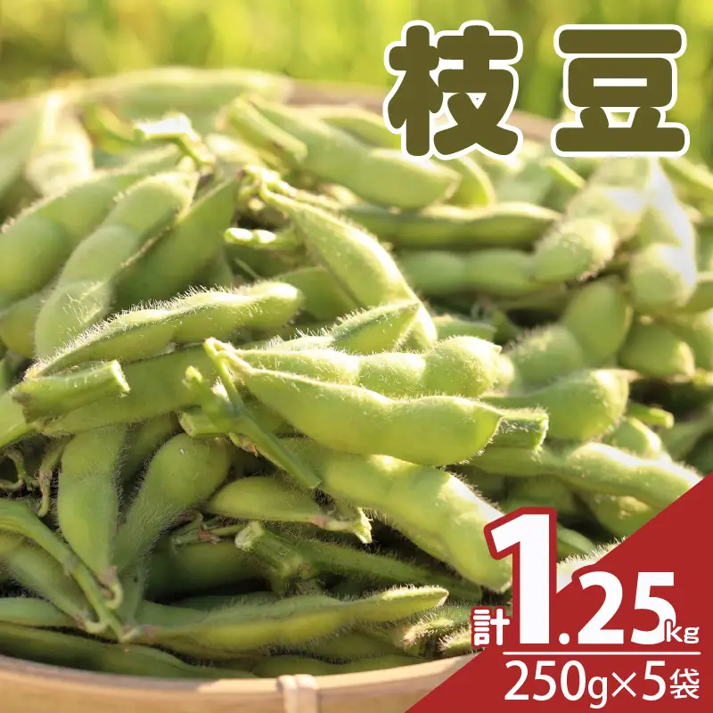 先行予約≪期間限定≫枝豆(茶豆風味・茶豆)計1.25kg お試し用 野菜 旬 国産_T003-0055