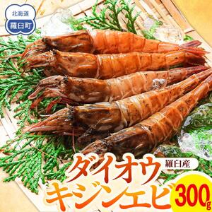 ダイオウキジンエビ 300g　｜エビ　羅臼　北海道