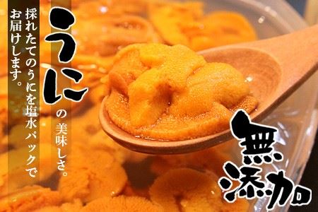 無添加蝦夷バフンウニ塩水パック100g×2P F-90003