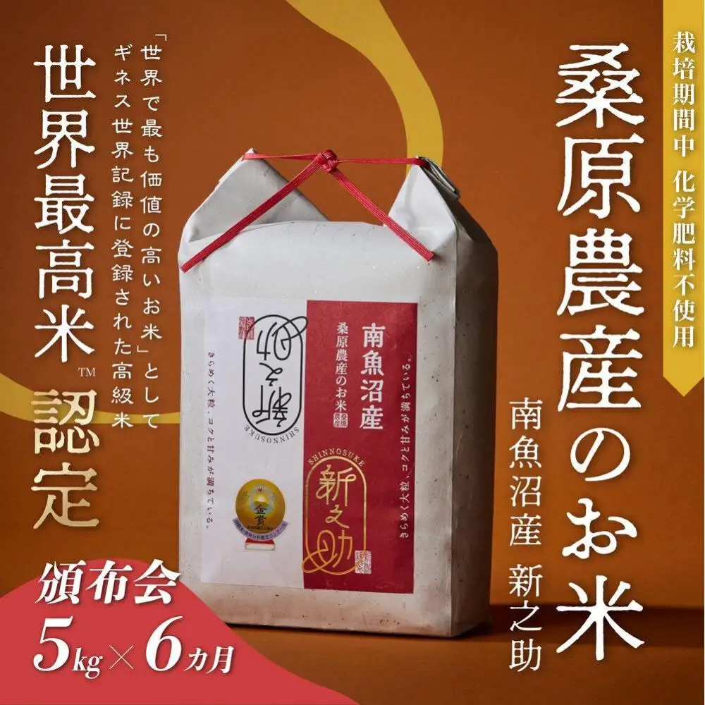 【頒布会】ギネス世界記録「世界最高米」認定 最高級南魚沼産新之助5kg×6ヶ月 桑原農産のお米(精米)【定期便 銘柄米 ブランド米 精米 新之助 魚沼産 新潟米 産地直送 お米 米 こめ コメ ご飯 御飯 ごはん】