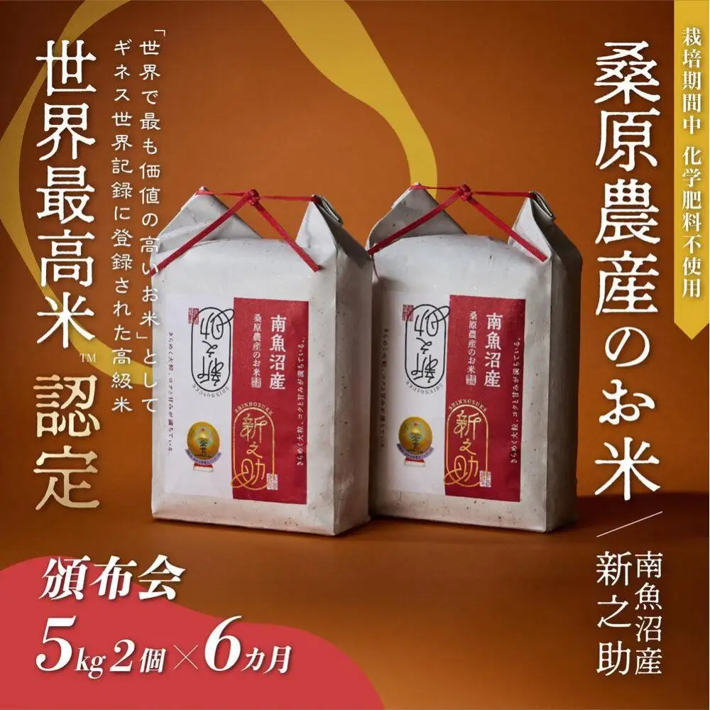 【頒布会】ギネス世界記録「世界最高米」認定 最高級南魚沼産新之助10kg(5kg×2)×6ヵ月 桑原農産のお米(精米)【定期便 銘柄米 ブランド米 精米 新之助 魚沼産 新潟米 産地直送 お米 米 こめ コメ ご飯 御飯 ごはん】