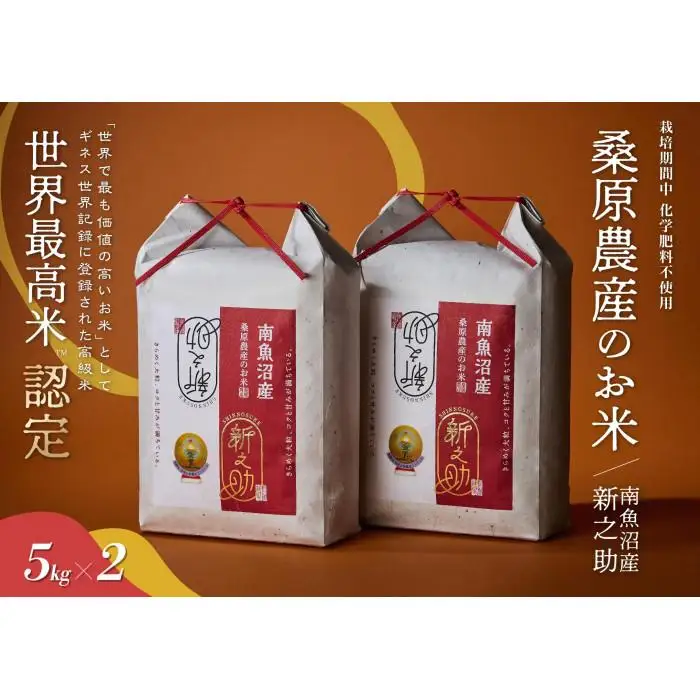【R7年産】ギネス世界記録「世界最高米」認定 最高級南魚沼産新之助10kg(5kg×2) 桑原農産のお米【銘柄米 ブランド米 精米 新之助 魚沼産 新潟米 産地直送 お米 米 こめ コメ ご飯 御飯 ごはん】