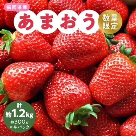 【数量限定】2027年2月より順次発送 福岡県産あまおう4パック_いちご 苺 イチゴ フルーツ 果物 くだもの ふるーつ 青果 産直 産地直送 あまおう 国産 甘い 人気 ギフト プレゼント_【配送不可地域：離島】【1211836】