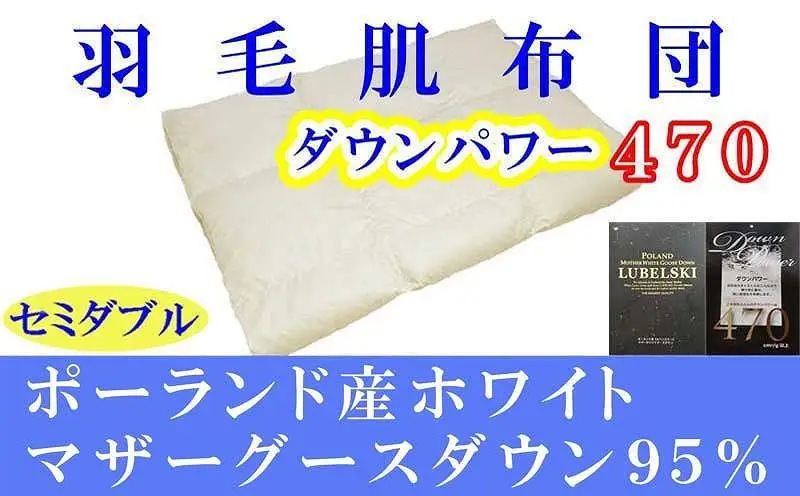 羽毛肌掛け布団 セミダブル ポーランド産マザーグース95％ ダウンパワー470 羽毛布団【BE065】