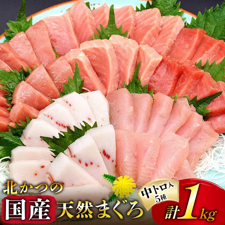 北かつのマグロ 中トロセット まぐろ まぐろ まぐろ [北かつ商事 宮城県 気仙沼市 20563599]