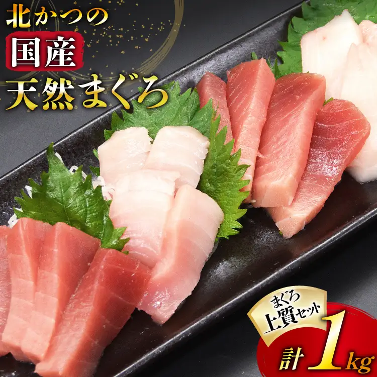 北かつのマグロ上質セット (マグロ中トロ 200g マグロ上質赤身 200g×2 メカジキ 200g びんちょう 200g）合計1kg [北かつ商事 宮城県 気仙沼市 20563511]