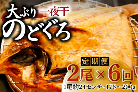 【定期便】島根県沖！大ぶり「のどぐろ一夜干」定期便（6回お届け）【定期便 海鮮 のどぐろ 干物 2尾 6回 合計12尾 のどぐろ一夜干し のどぐろ干物 大ぶり 大 個包装 真空パック 冷凍 セット 島根県 大田市】