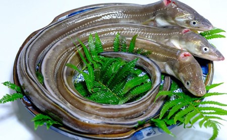 あなご下処理済3尾セット【穴子 セット あなご アナゴ 3尾 真空パック 煮あなご 焼きあなご 天ぷら】