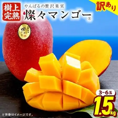 【2026年7月から順次発送・訳あり】燦々マンゴー1.5kg(3～6玉)_マンゴー_【1619685】
