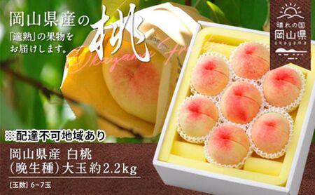 桃 2026年 先行予約 白桃 晩生種 大玉 約2.2kg 6～7玉