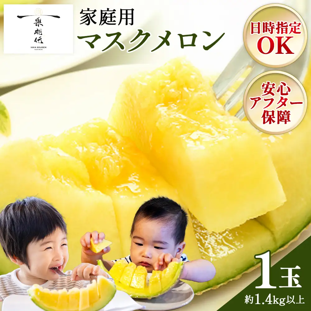 【発送開始】マスクメロン(家庭用) 1玉入 青肉品種 高級メロン！ ／ マスクメロン 果物 フルーツ ギフト 農家直送 tn-0024