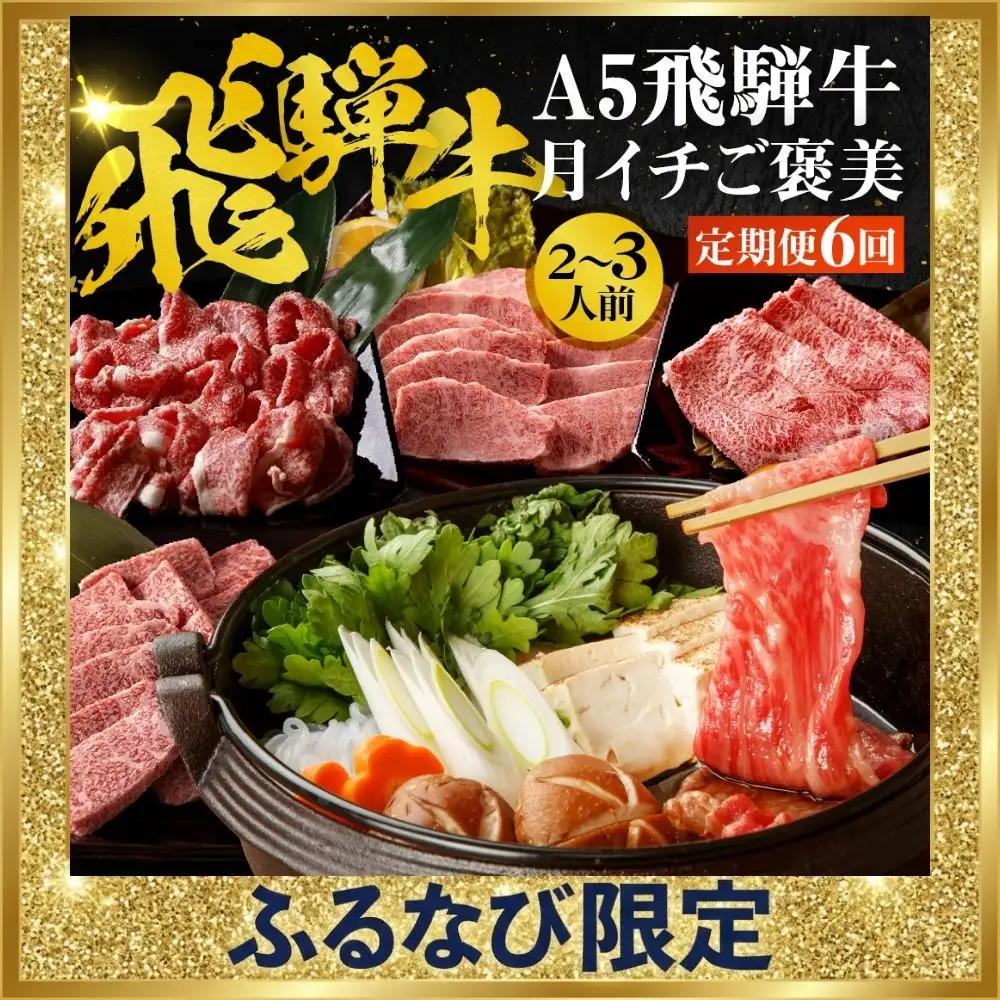 【ふるなび限定価格】 定期便 6回 A5飛騨牛 | 定期便 FN-Limited-PR