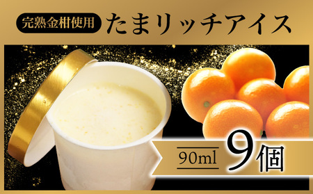 串間市産きんかんたまたま使用！たまリッチアイス詰合せ(9個)_K004-002