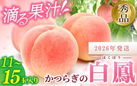 桃 白桃 11～15玉入り 秀品【2026年6月下旬から7月中旬ごろ発送】【S96001-mtgn045】