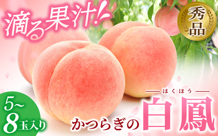 桃 白桃  5～8玉入り 【秀品】【S96009-mtgn053A】