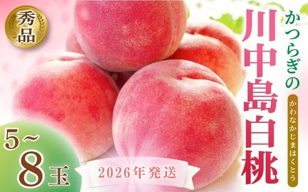 桃 川中島 5～8玉入り 秀品 【S96012-mtgn056A】