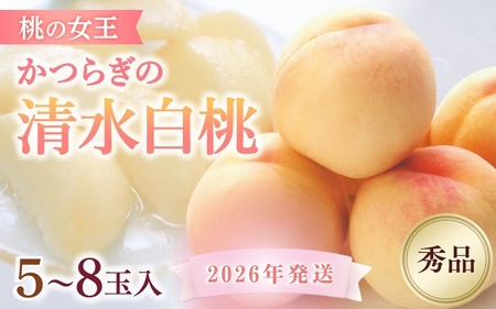 桃   清水白桃 5～8玉入り 秀品【S96021-mtgn065A】