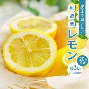 皮まで美味しい無農薬レモン 約3kg【栽培期間中農薬不使用】