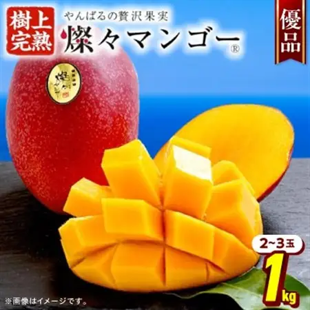 【2026年7月から順次発送・優品】燦々マンゴー1.0kg(2～3玉)_マンゴー_【1619776】